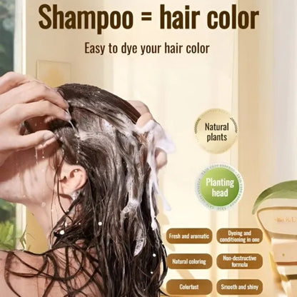 Long Lasting Natural Hair Dye Shampoo - 2