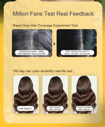 Long Lasting Natural Hair Dye Shampoo - 2